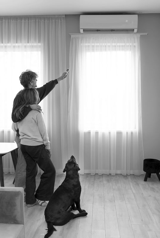 pareja-tiro-completo-perro-casa